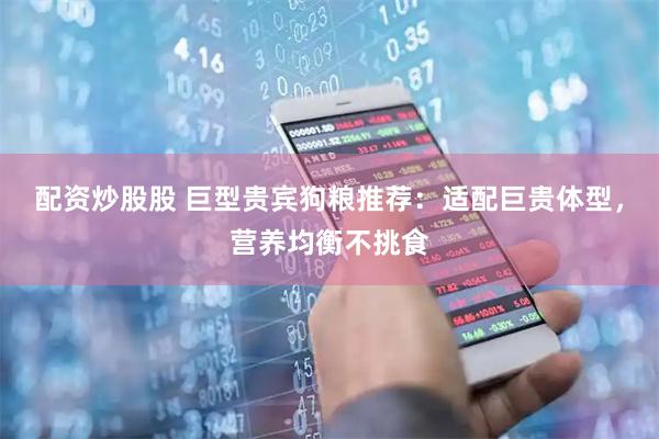 配资炒股股 巨型贵宾狗粮推荐：适配巨贵体型，营养均衡不挑食